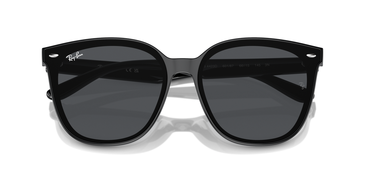 Ray - Ban RB4423D 601/87
