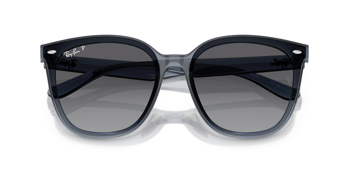 Ray - Ban RB4423D 6592T3