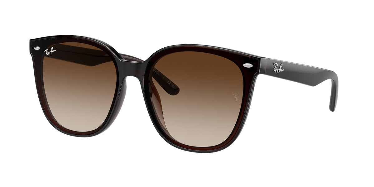 Ray - Ban RB4423D 714/13