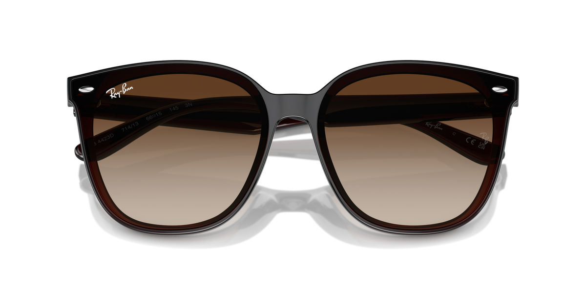Ray - Ban RB4423D 714/13