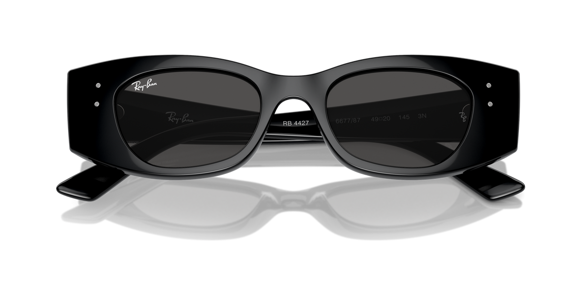 Ray - Ban RB4427 KAT 667787
