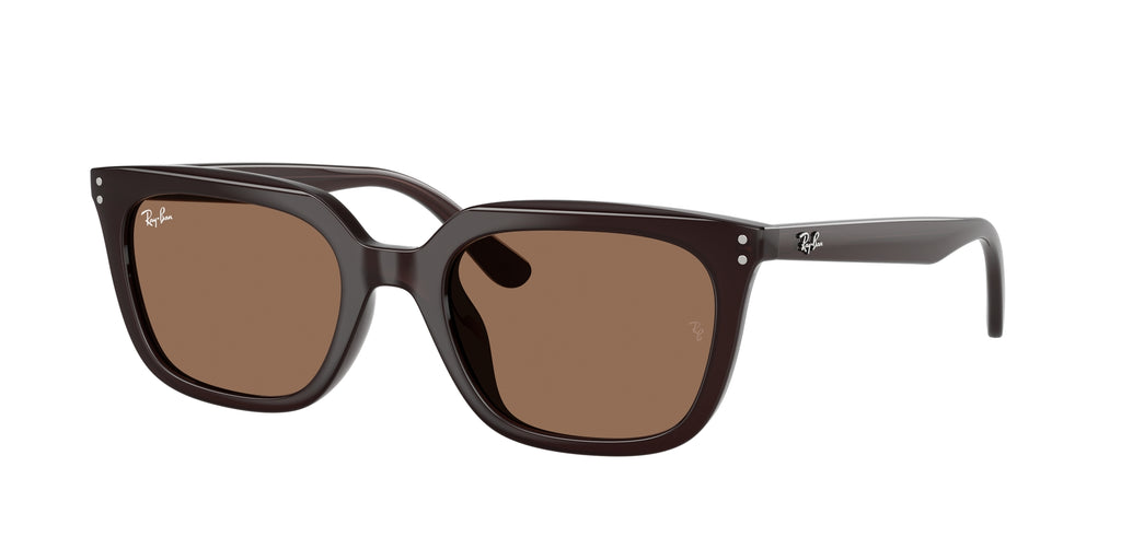 Ray - Ban RB4439D 623173