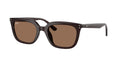 Ray - Ban RB4439D 623173