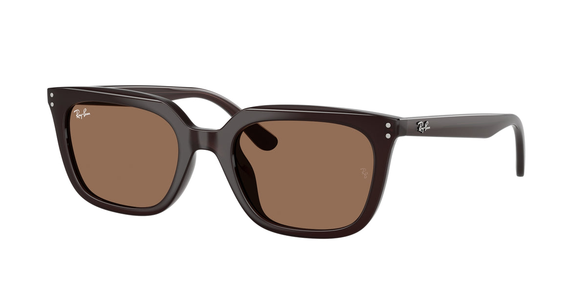 Ray - Ban RB4439D 623173