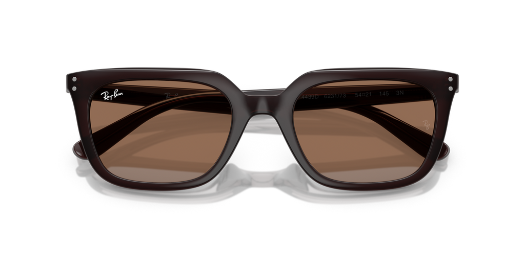 Ray - Ban RB4439D 623173