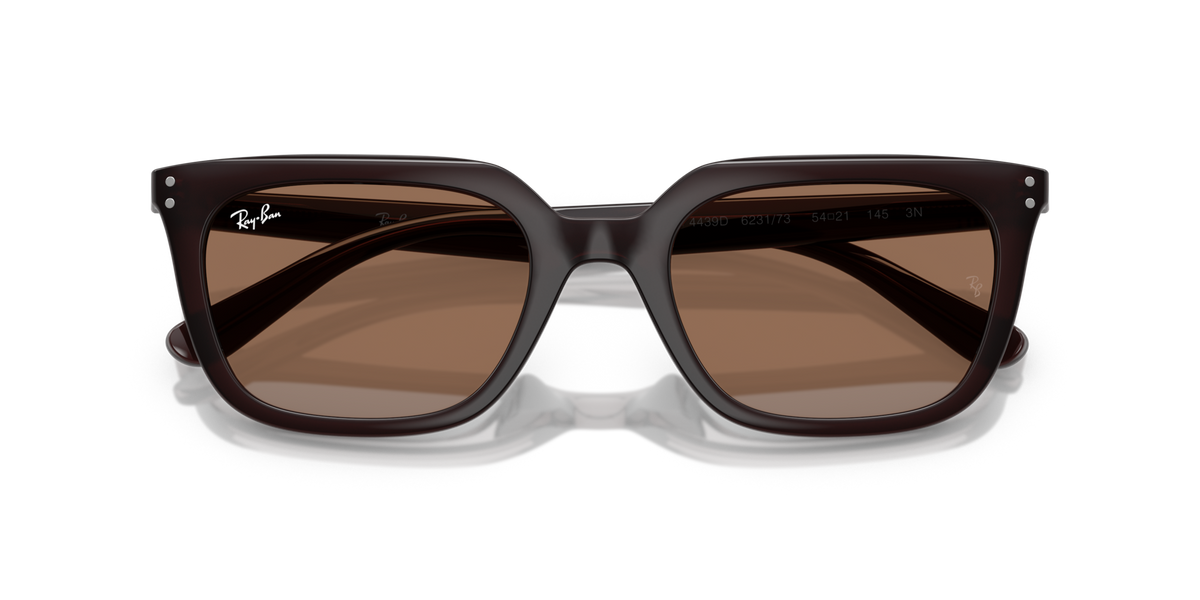 Ray - Ban RB4439D 623173