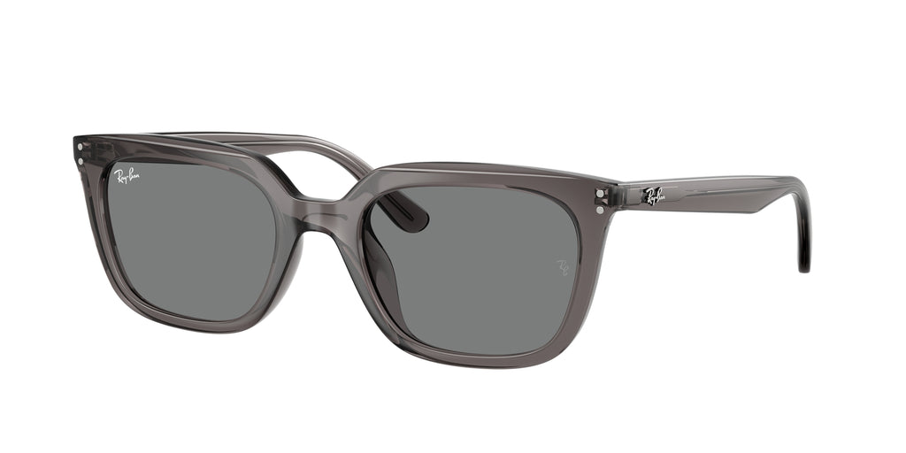 Ray - Ban RB4439D 667587