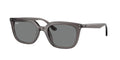 Ray - Ban RB4439D 667587