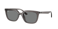 Ray - Ban RB4439D 667587