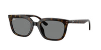 Ray - Ban RB4439D 710/87