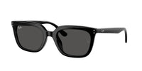 Ray - Ban RB4439D 901/87