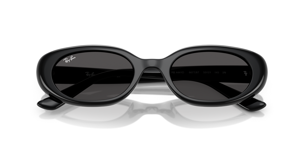 Ray - Ban RB4441D 667787
