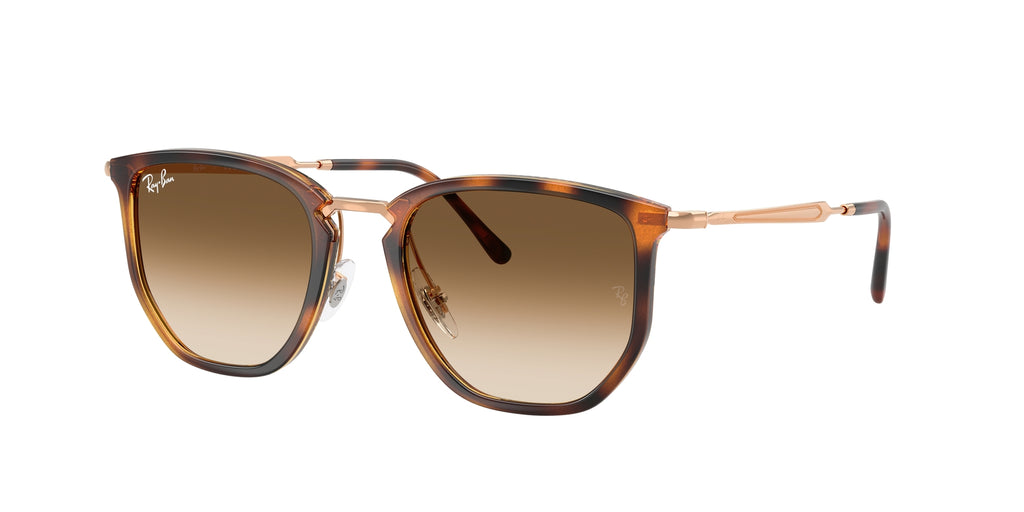 Ray - Ban RB4451 680451