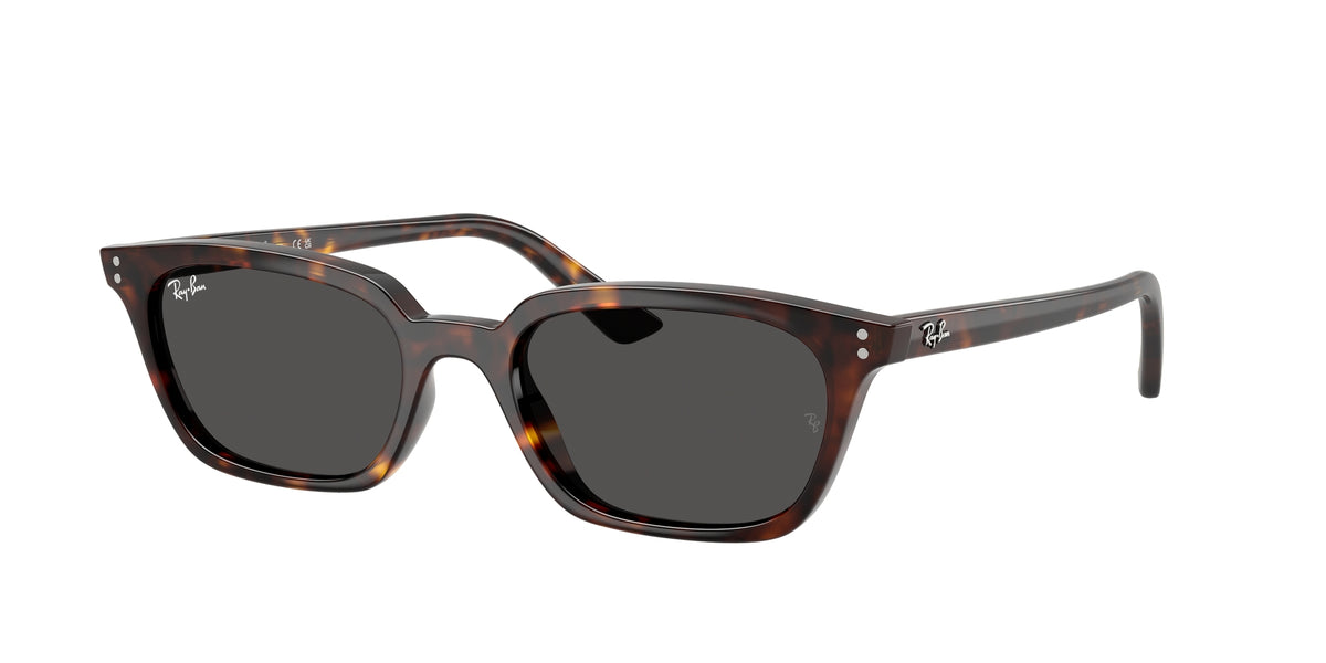Ray - Ban RB4456 ZAYA 135987
