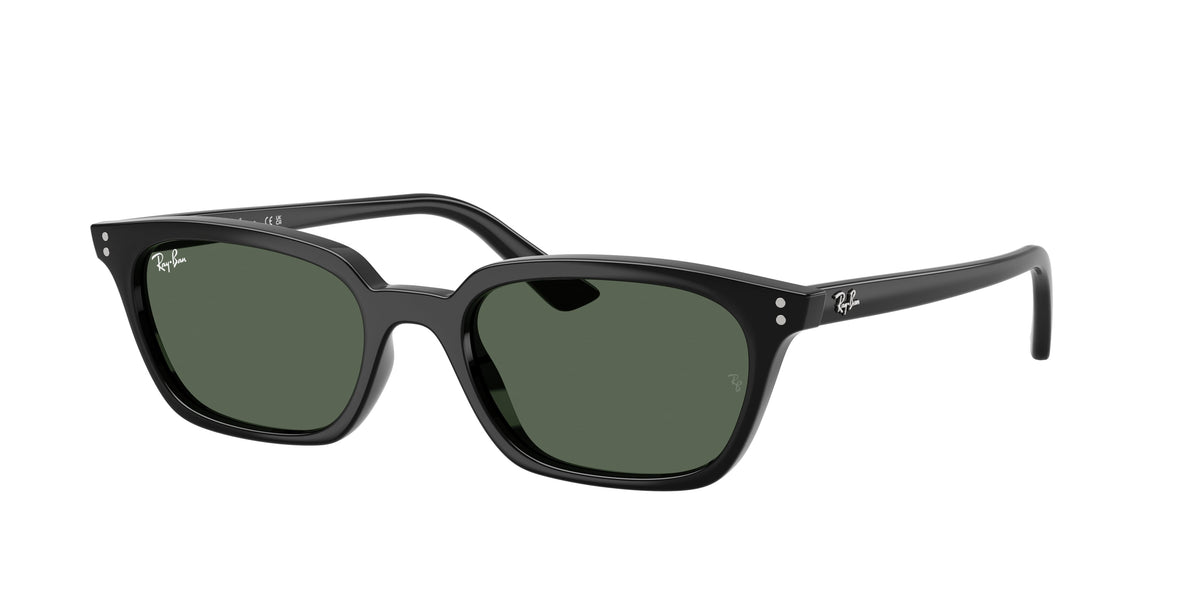 Ray - Ban RB4456 ZAYA 667771
