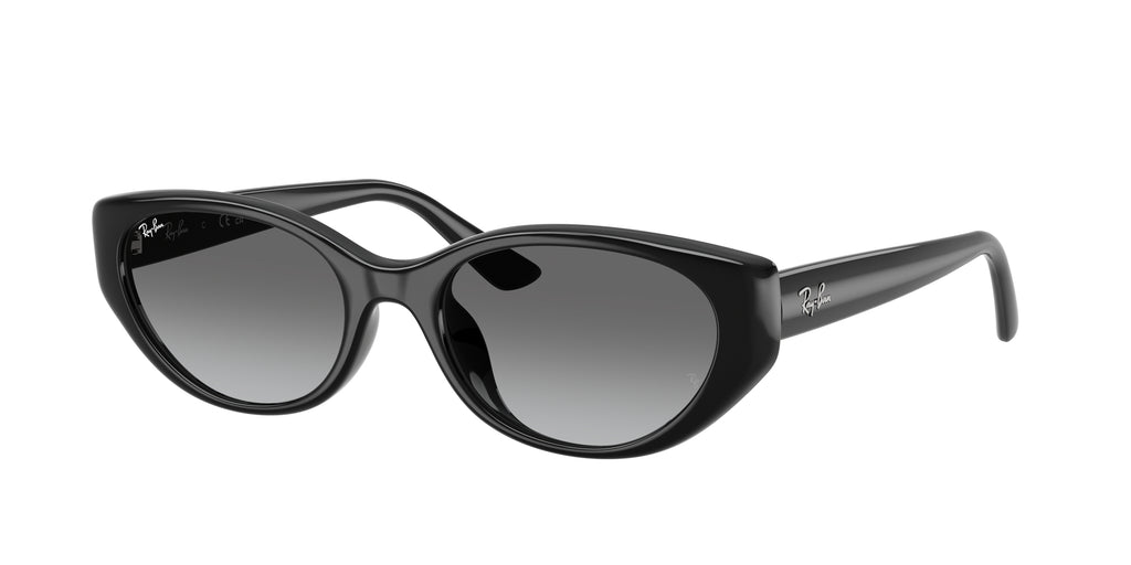 Ray - Ban RB4457D 667711