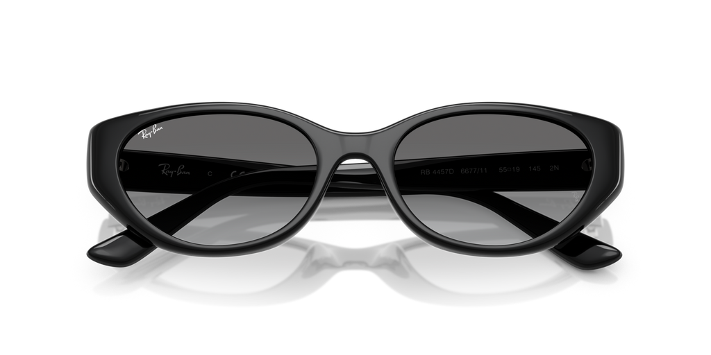 Ray - Ban RB4457D 667711