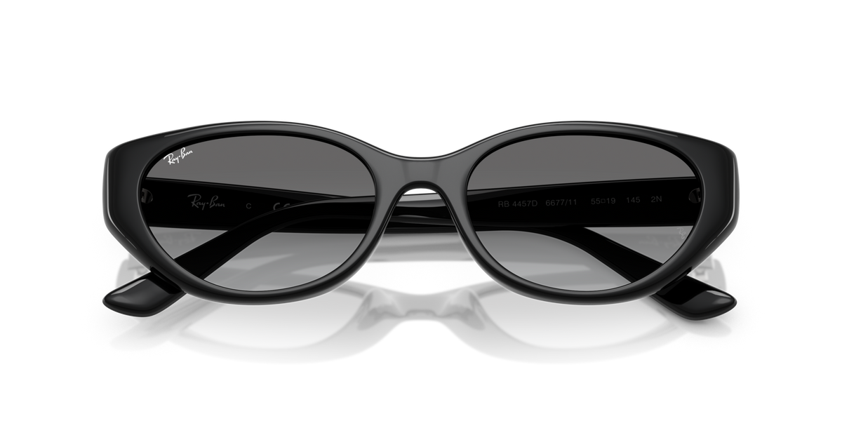 Ray - Ban RB4457D 667711