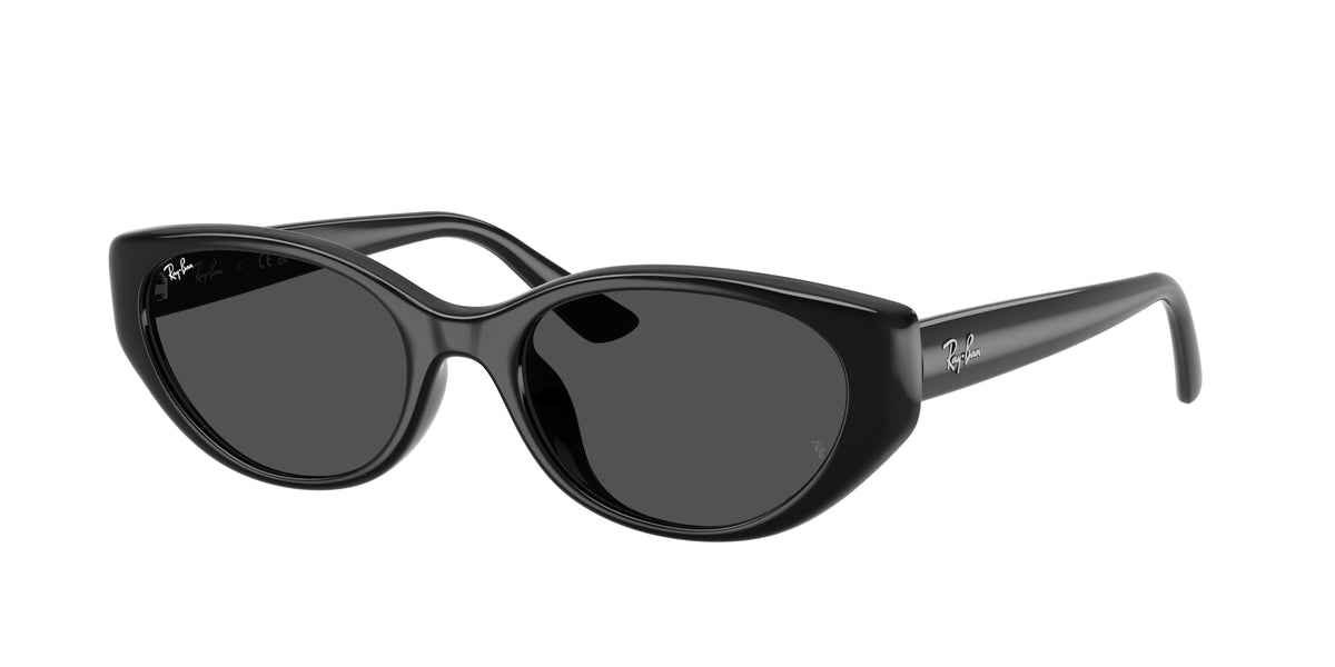 Ray - Ban RB4457D 667787