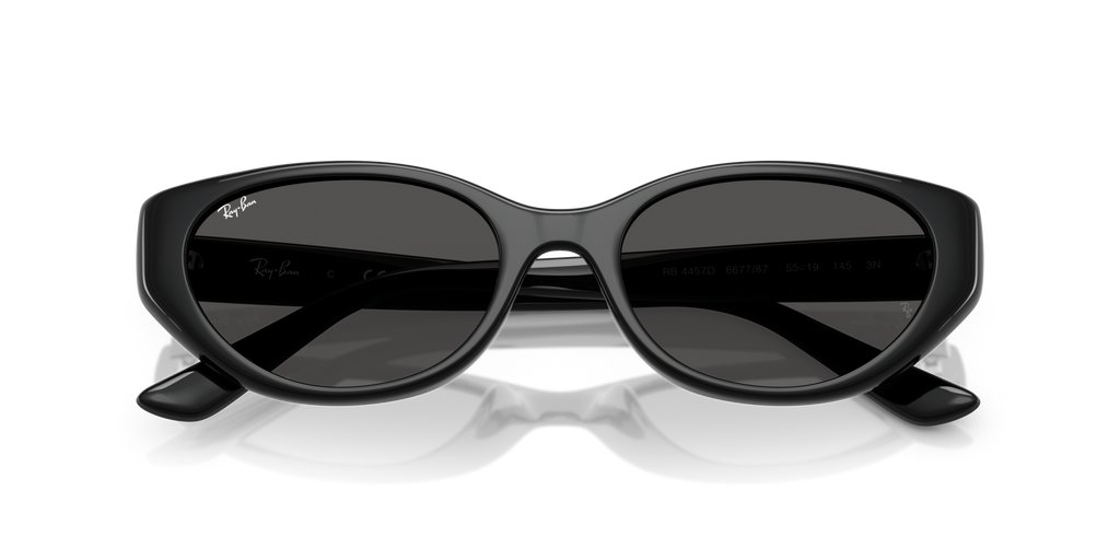 Ray - Ban RB4457D 667787