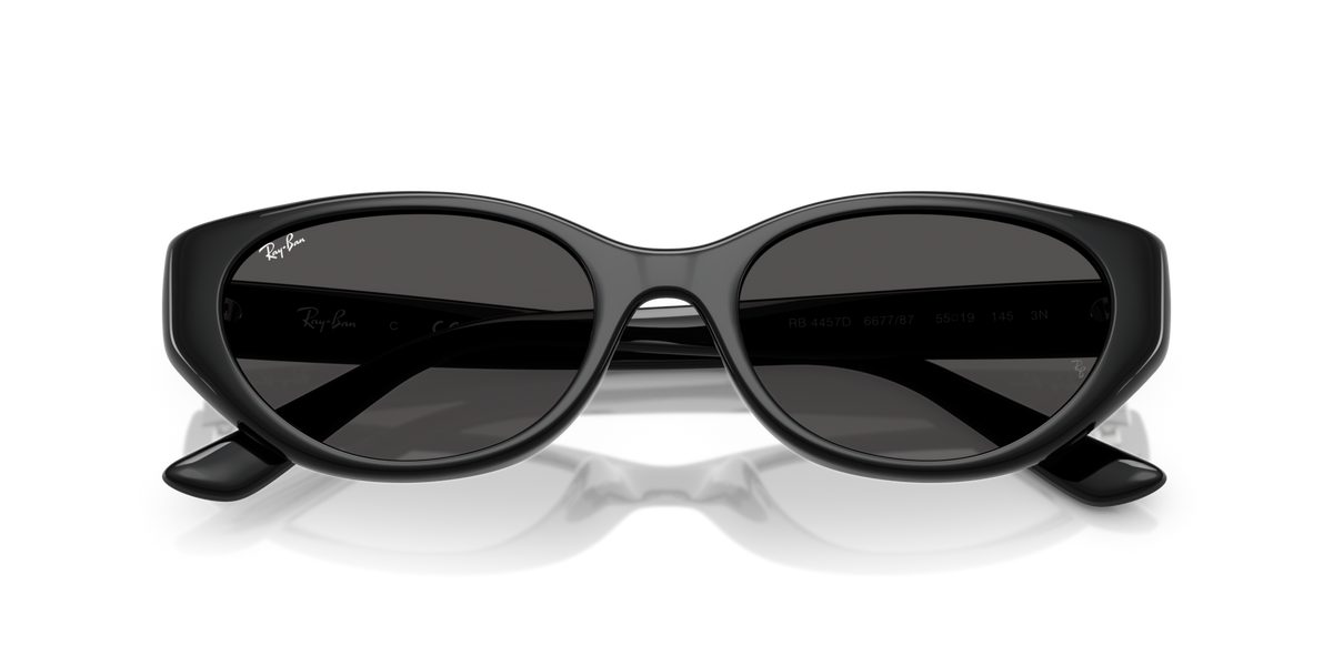 Ray - Ban RB4457D 667787
