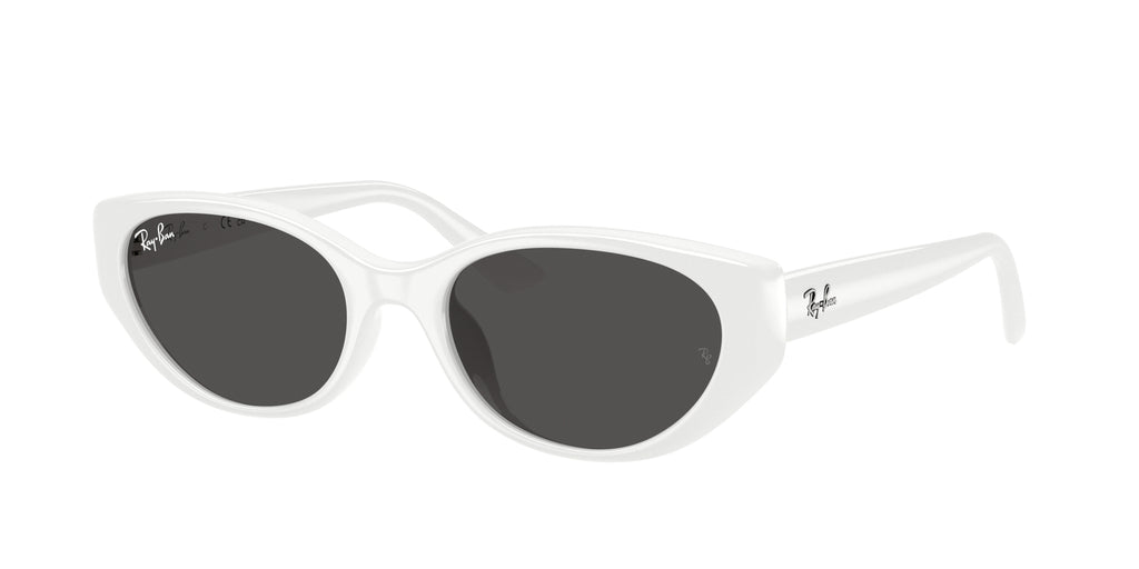 Ray - Ban RB4457D 677287