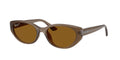 Ray - Ban RB4457D 677983