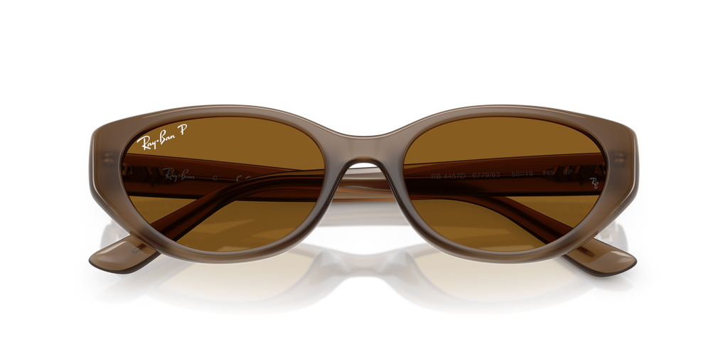 Ray - Ban RB4457D 677983