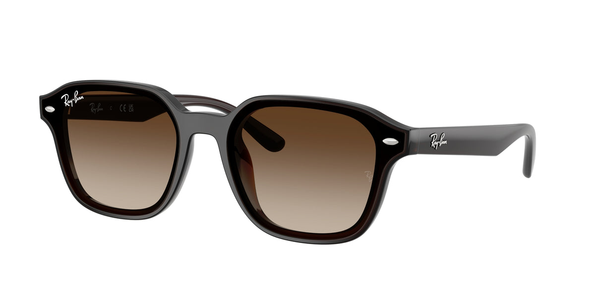 Ray - Ban RB4458D 714/13