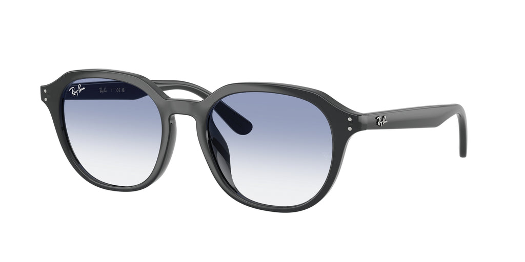 Ray - Ban RB4459D 623019