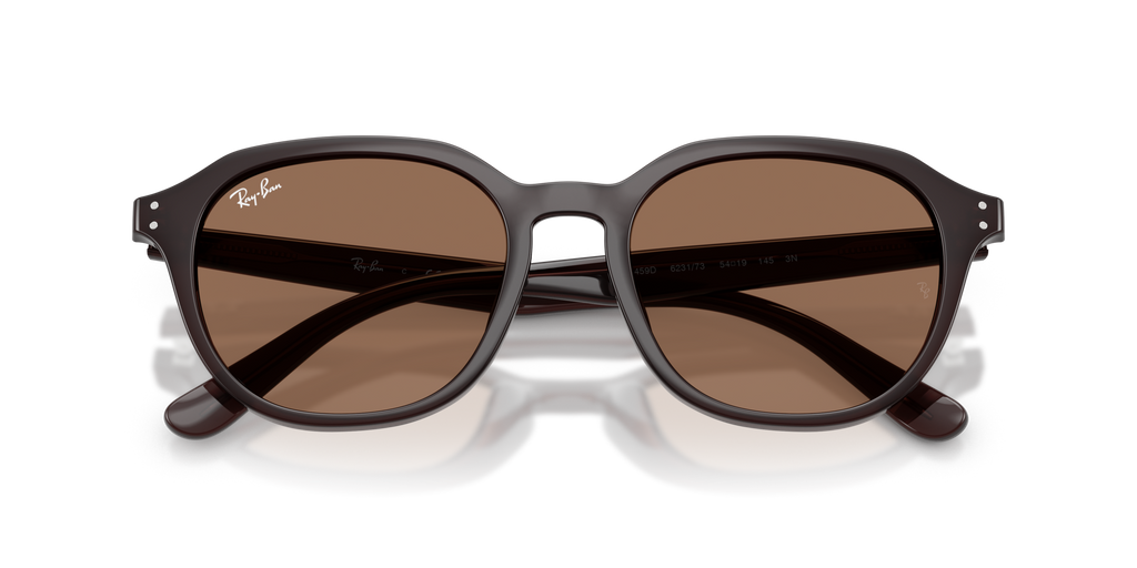 Ray - Ban RB4459D 623173
