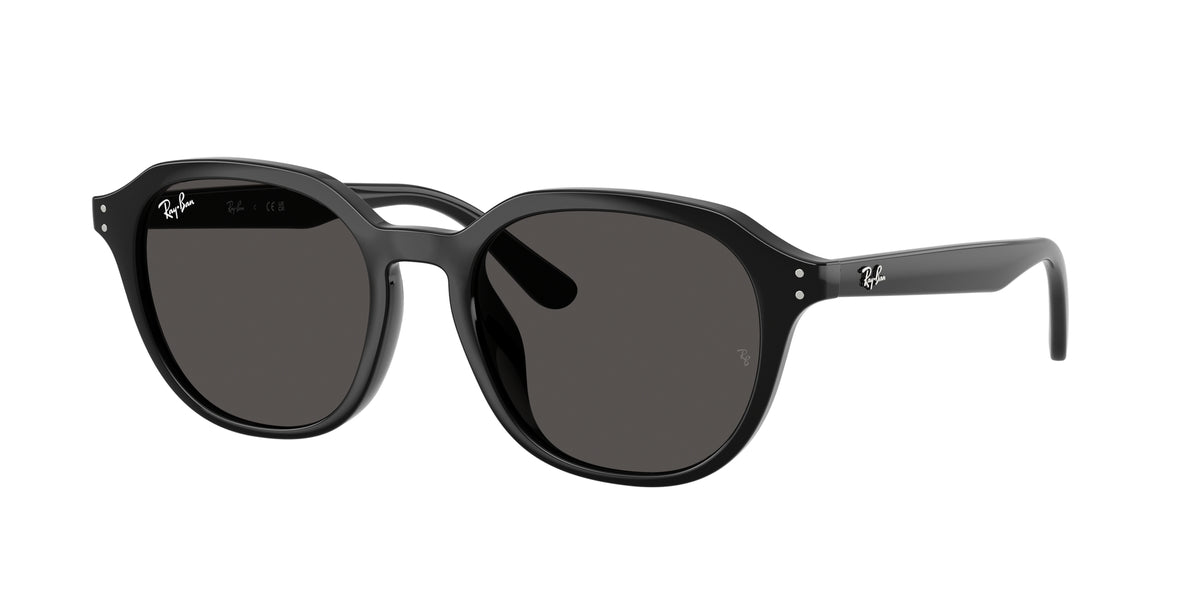 Ray - Ban RB4459D 901/87