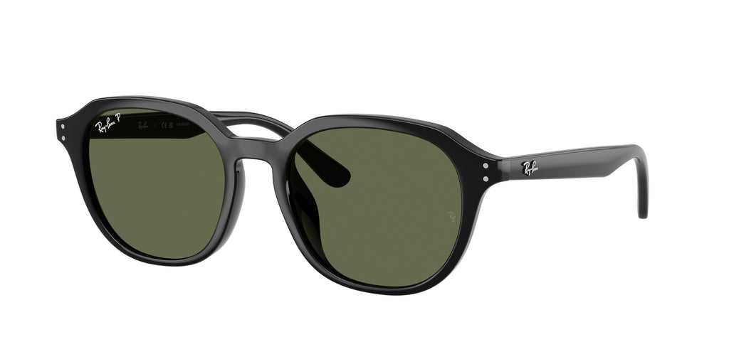 Ray - Ban RB4459D 901/9A