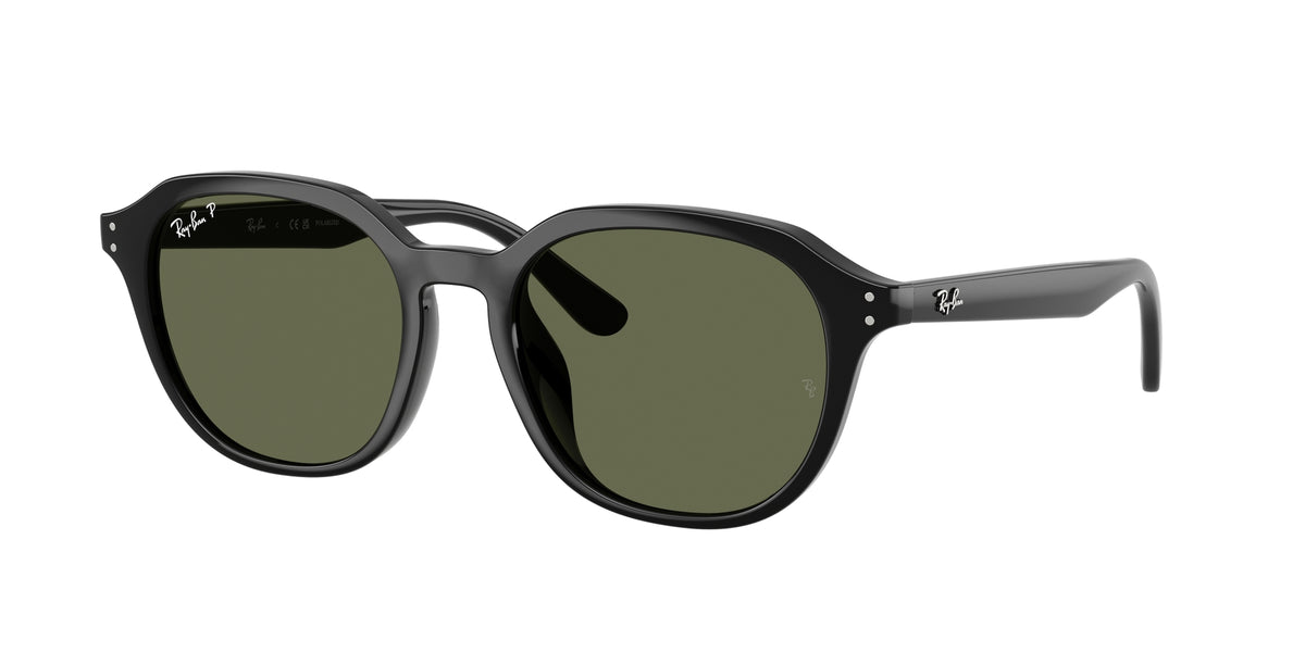 Ray - Ban RB4459D 901/9A