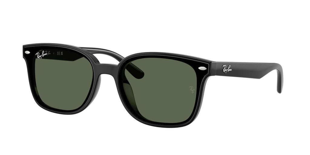 Ray - Ban RB4461D 601/71