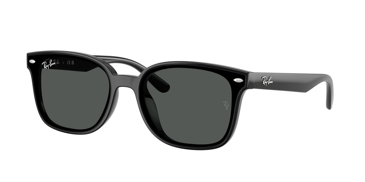Ray - Ban RB4461D 601/87