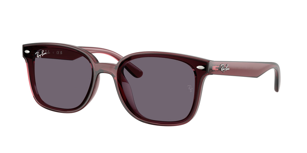 Ray - Ban RB4461D 659373