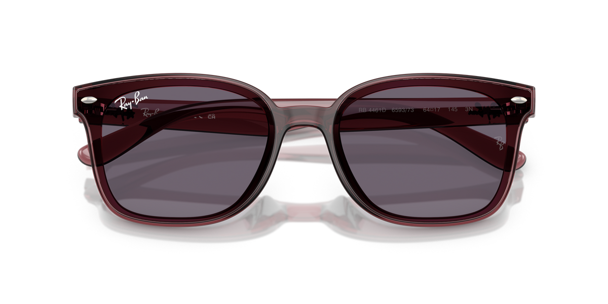 Ray - Ban RB4461D 659373