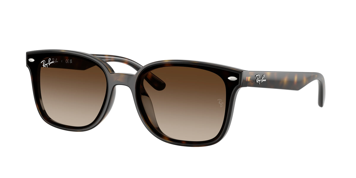 Ray - Ban RB4461D 710/13