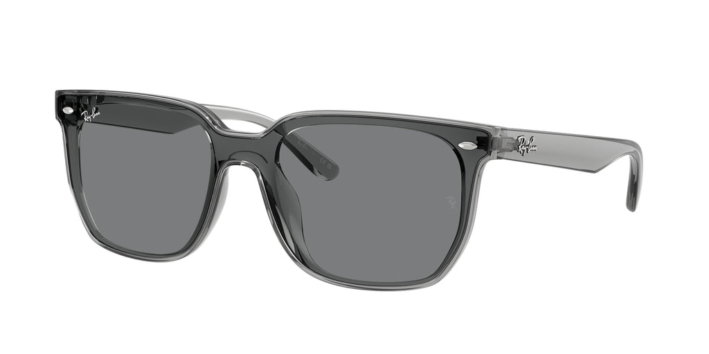 Ray - Ban RB4466D 645087