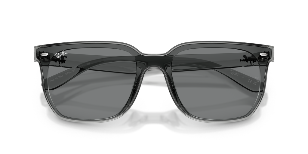 Ray - Ban RB4466D 645087