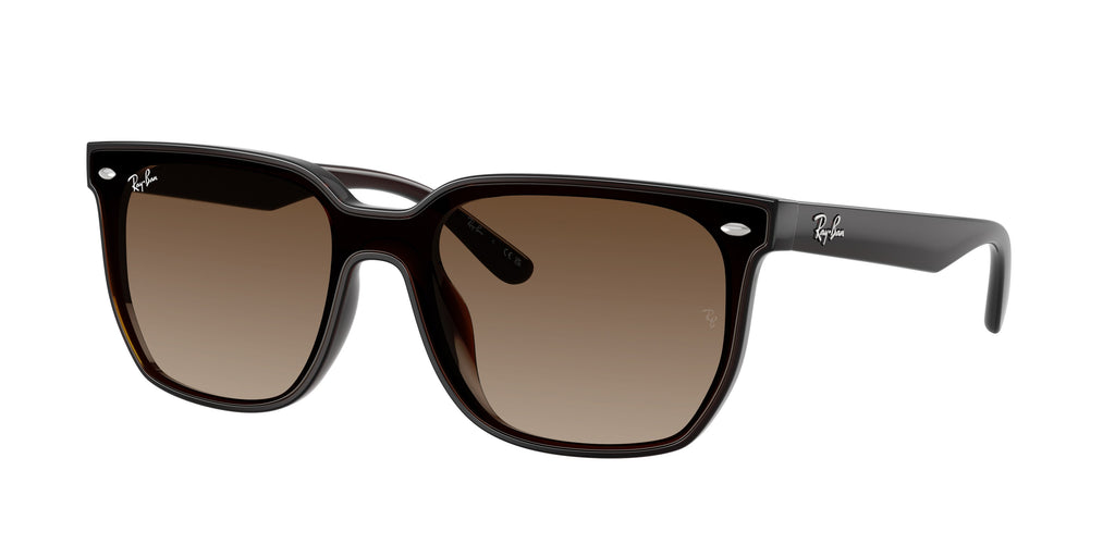 Ray - Ban RB4466D 714/13