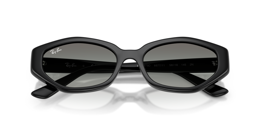 Ray - Ban RB4473D 667711