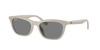 Ray - Ban RB4474D 685887