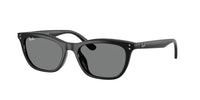 Ray - Ban RB4474D 901/87