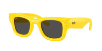 Ray - Ban A$AP Rocky RB4940 WAYFARER PUFFER 683087