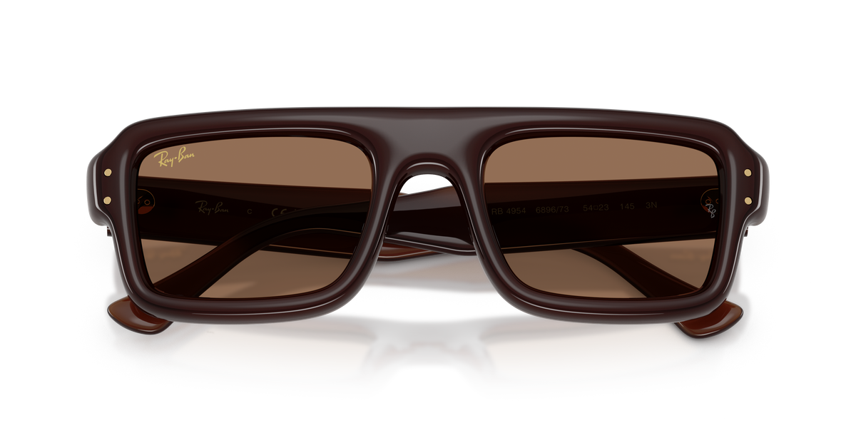 Ray - Ban RB4954 689673