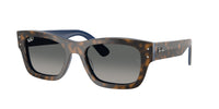 Ray - Ban RB7683S JOSEPH 140171
