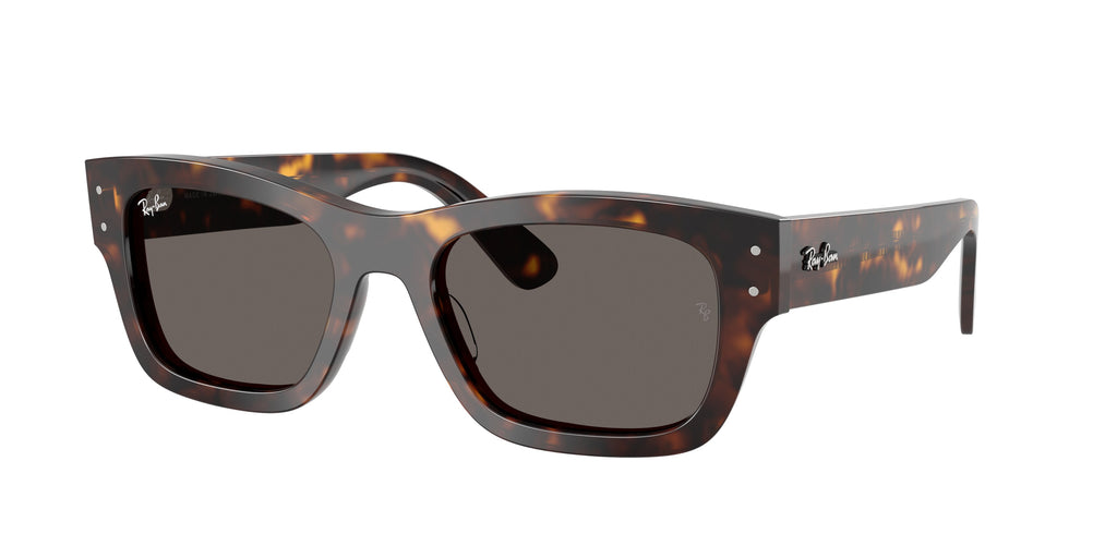 Ray - Ban RB7683S JOSEPH 902/B1