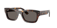 Ray - Ban RB7683S JOSEPH 902/B1